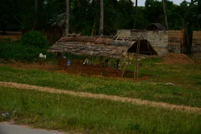 DSC_8055 (Large).JPG